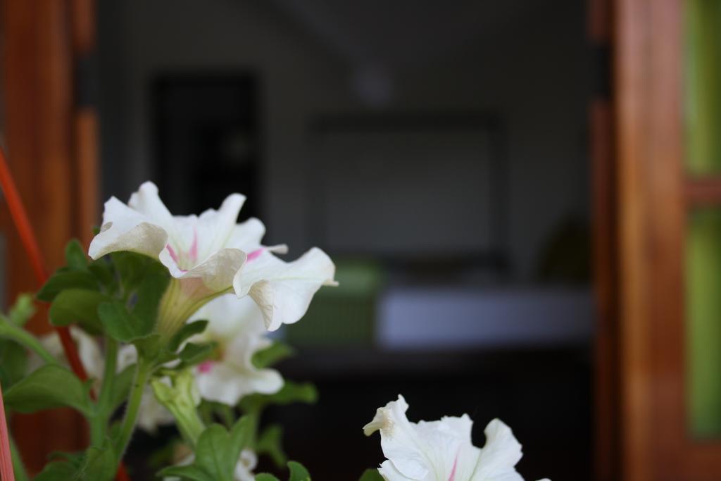 Moonlight Holiday Home Ella Esterno foto